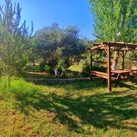 Vita Camping Otel Geyikbayiri Εξωτερικό φωτογραφία