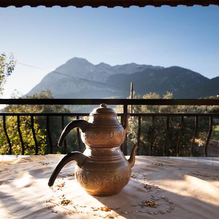 Vita Camping Otel Geyikbayiri Εξωτερικό φωτογραφία