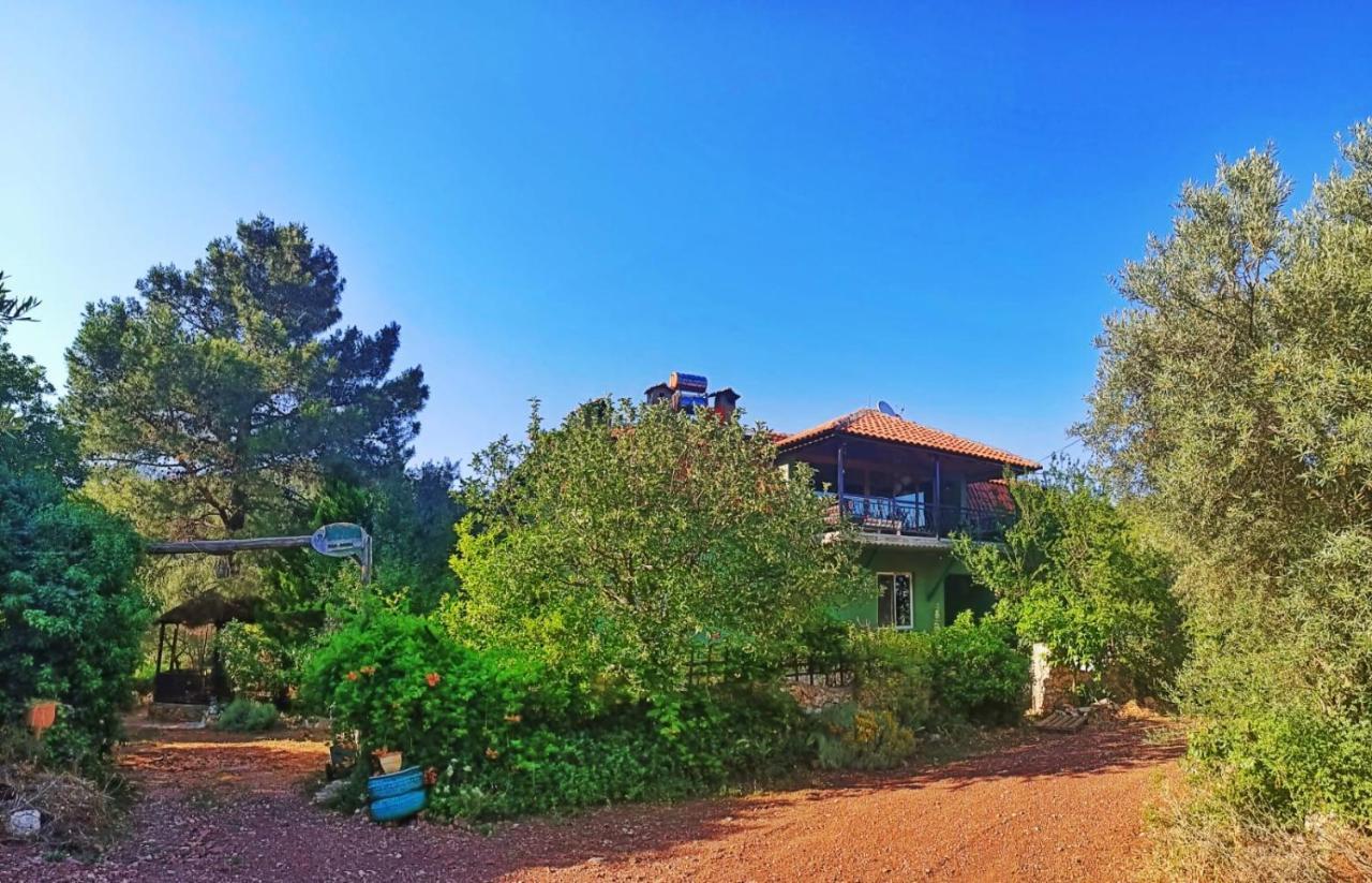 Vita Camping Otel Geyikbayiri Εξωτερικό φωτογραφία