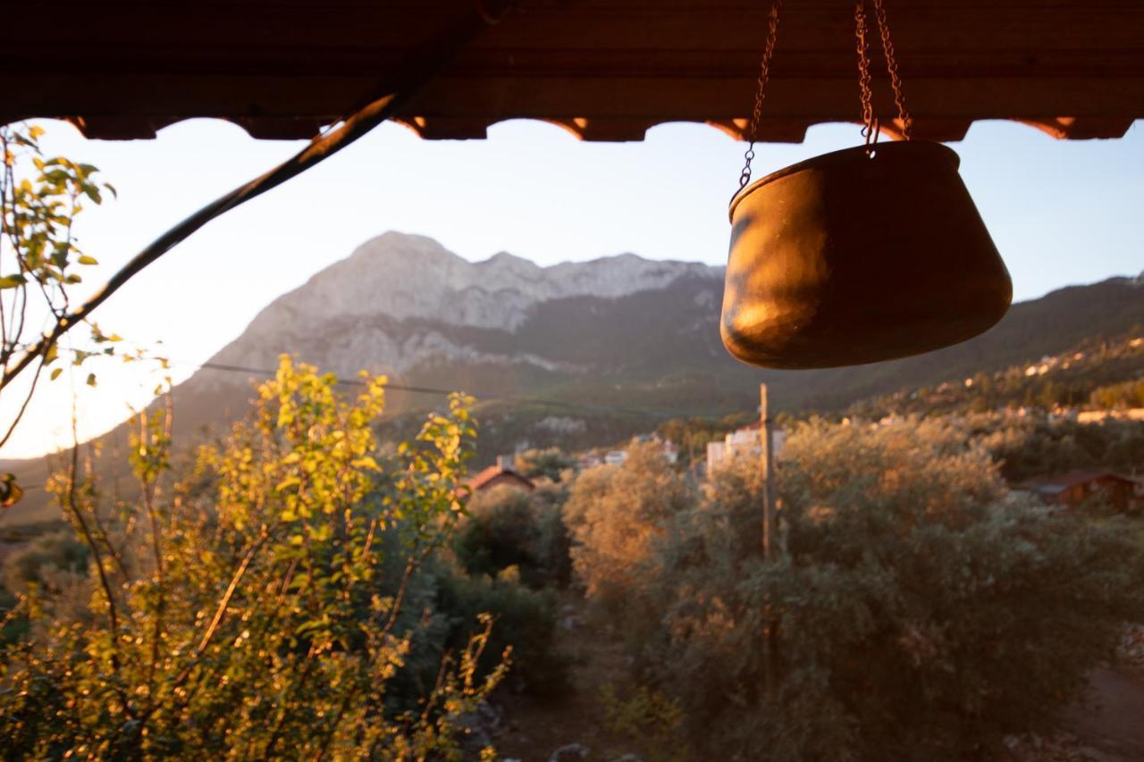 Vita Camping Otel Geyikbayiri Εξωτερικό φωτογραφία