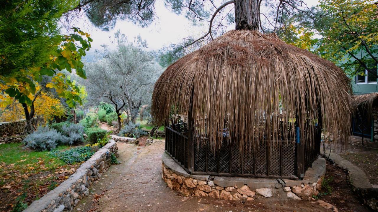 Vita Camping Otel Geyikbayiri Εξωτερικό φωτογραφία
