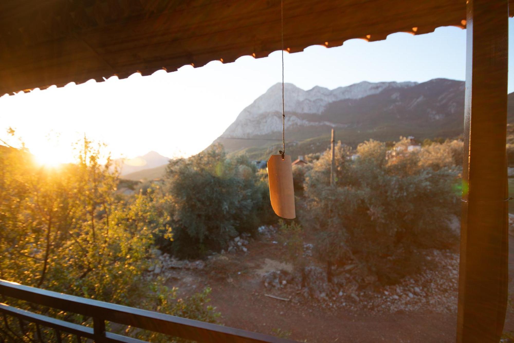 Vita Camping Otel Geyikbayiri Εξωτερικό φωτογραφία